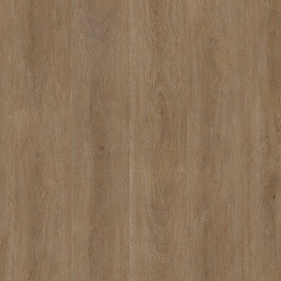 Parramatta dryback dark oak