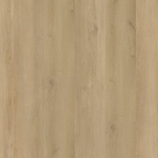 Greenwich dryback beige