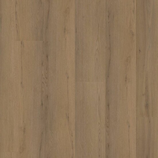 Barnet dryback dark oak