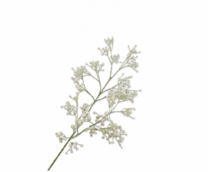 GYPSOPHILA TAK WIT 90 cm